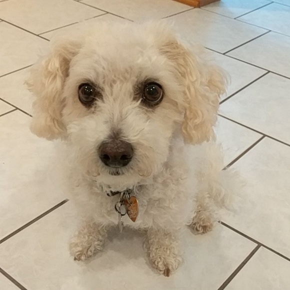 Meet your Posher, Kirsten - Picture 1 of 1